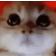 CATRAGE