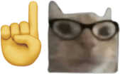 CatNerd